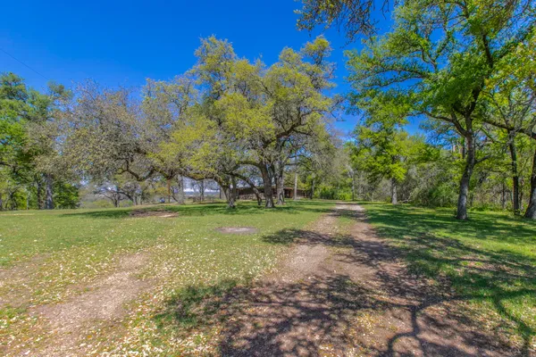a view of outdoor space with trees all around