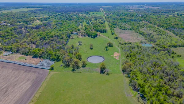 a view of a trees in a yard