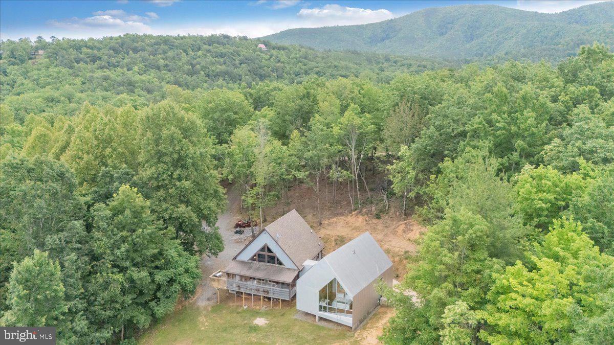 722 Foley Ridge Road Stuart, VA 24171 - Photo 59 of 67 Serene mountain retreat surrounded by nature.