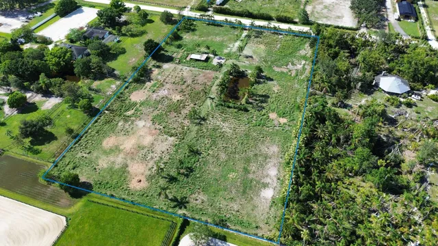 a plant that is in a garden