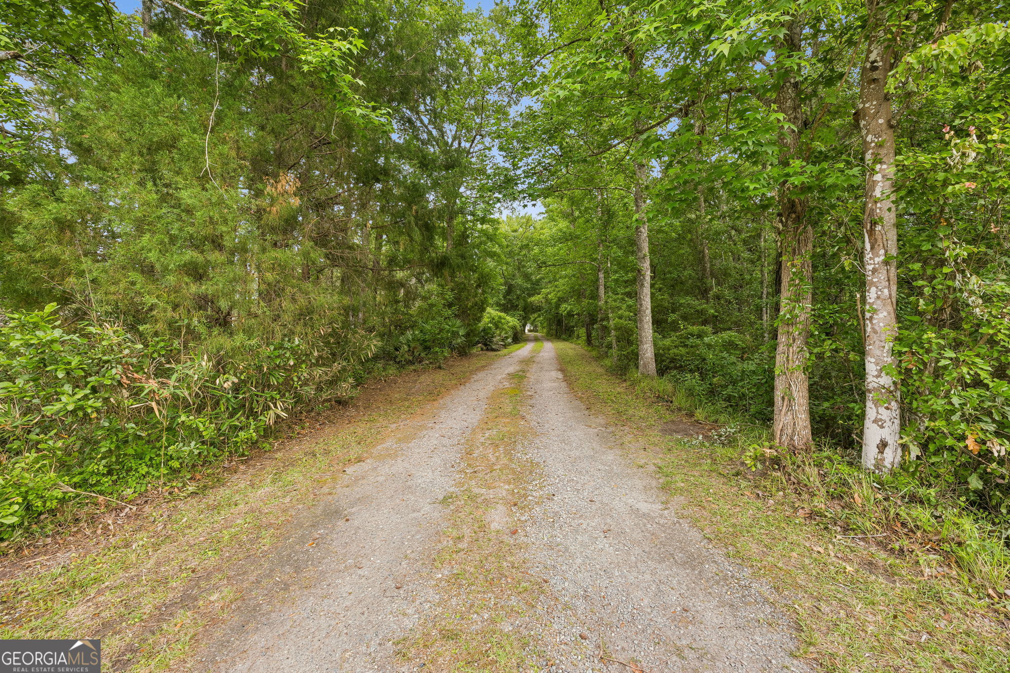 3198 Harrietts Bluff Road Woodbine, GA 31569 - Photo 11 of 117 Gallery Image 11