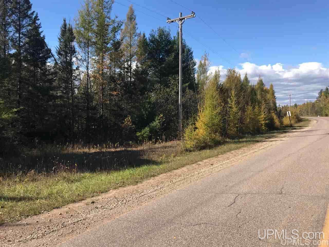 Tbd Co Rd 426 Cornell, MI 49818 - Photo 5 of 20