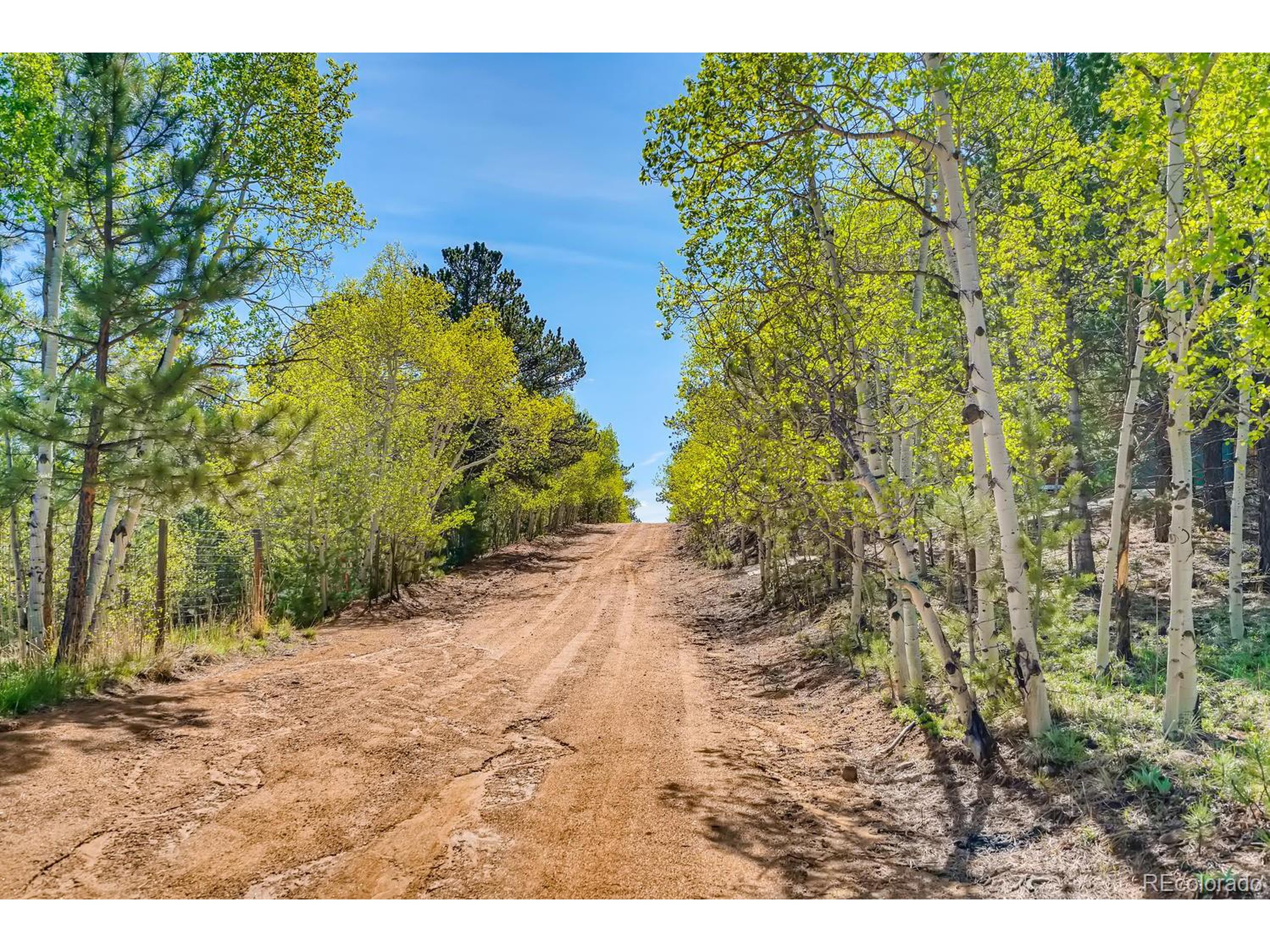 317 Jones Road Bailey, CO 80421 - Photo 21 of 30