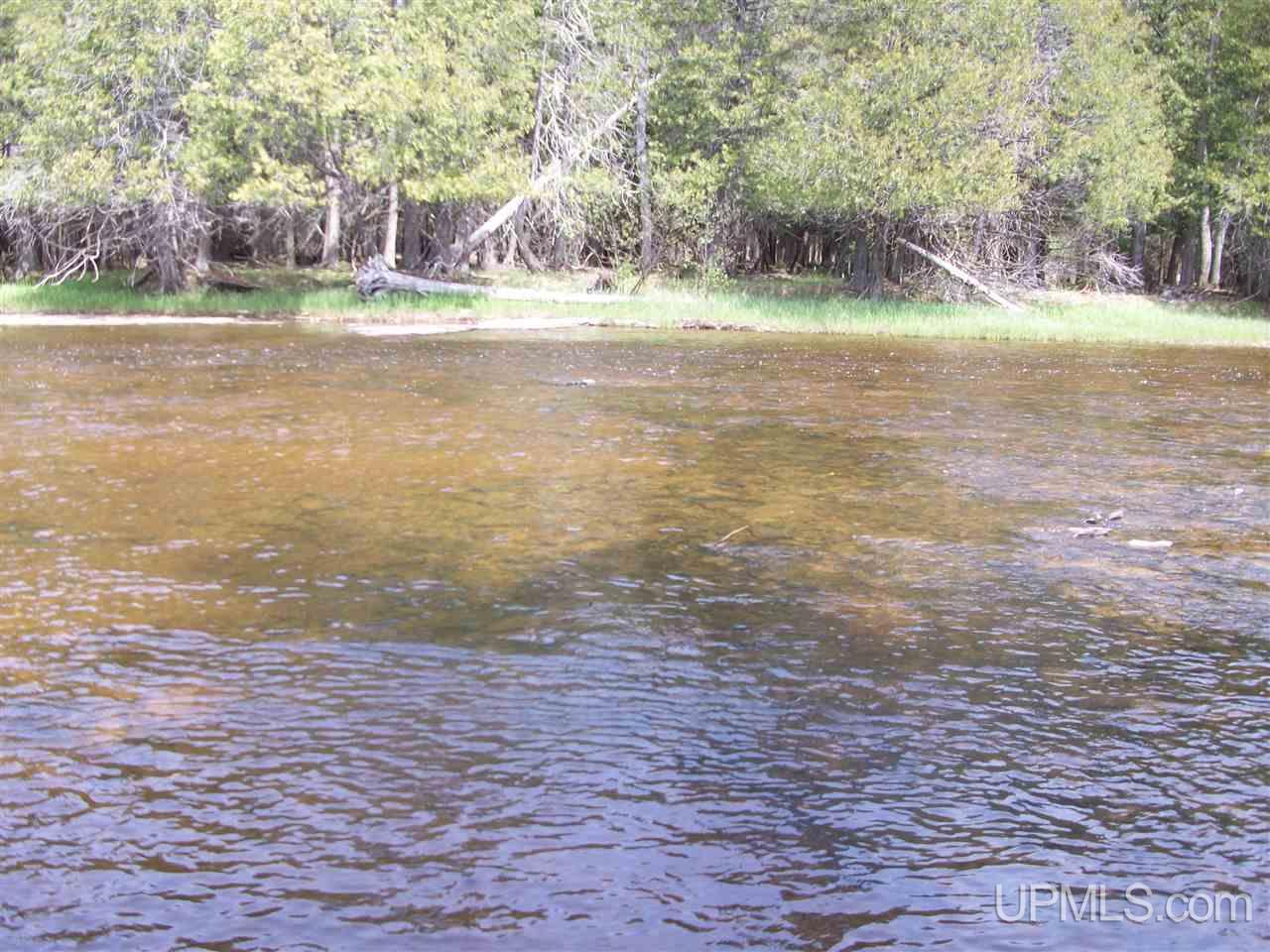 Tbd Tbd Off Sd Road Arnold, MI 49819 - Photo 2 of 6
