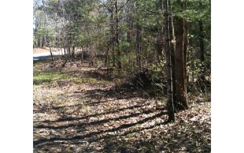 4.5-ac Cook Henry Road Morganton, GA 30560 - Photo 1 of 1 Main View