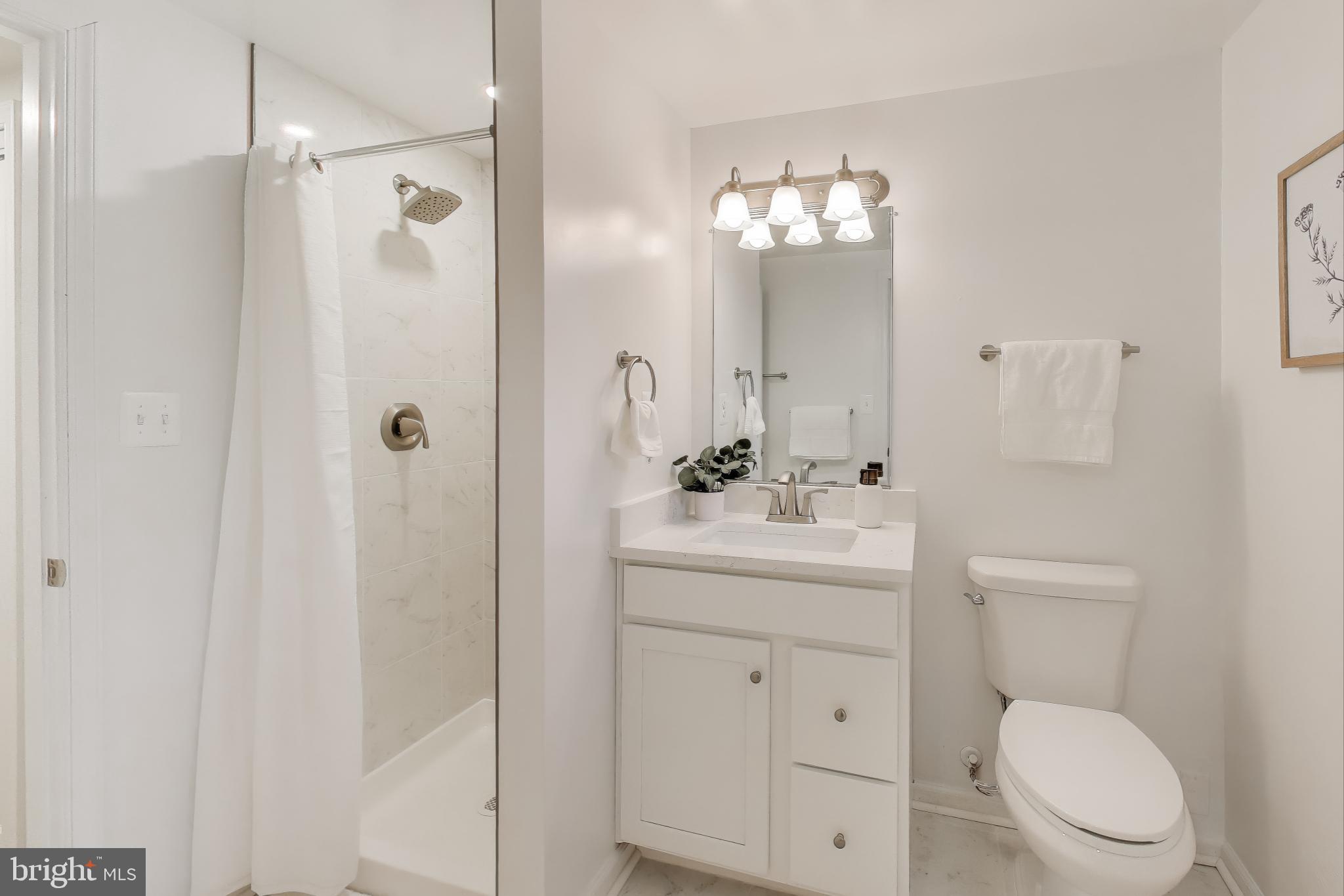 8680 Cooksey Road La Plata, MD 20646 - Photo 29 of 44 Lower Level Bathroom En Suite