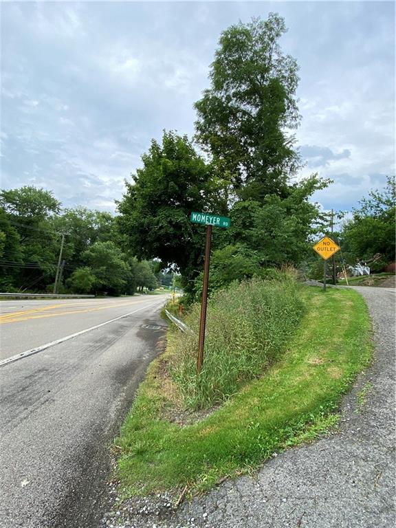 a big yard with lots of green space
