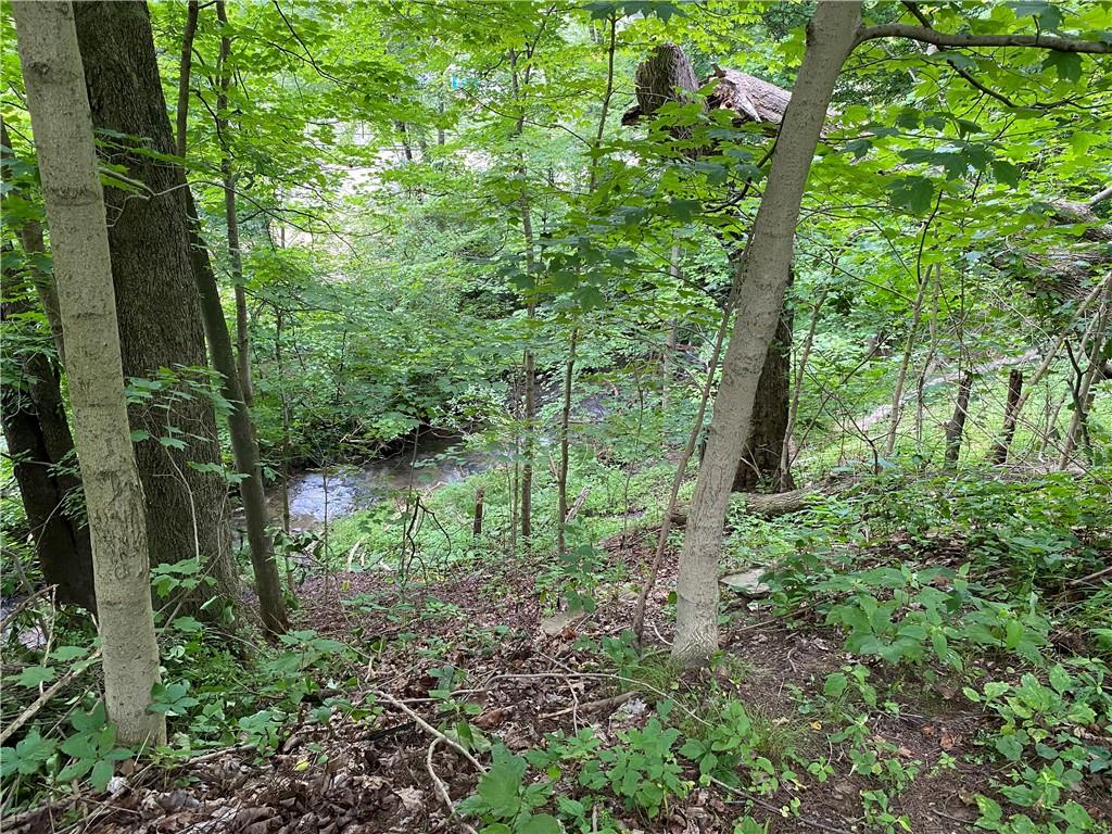 30 Momeyer Road Monongahela, PA 15063 - Photo 11 of 12 a big yard with lots of green space