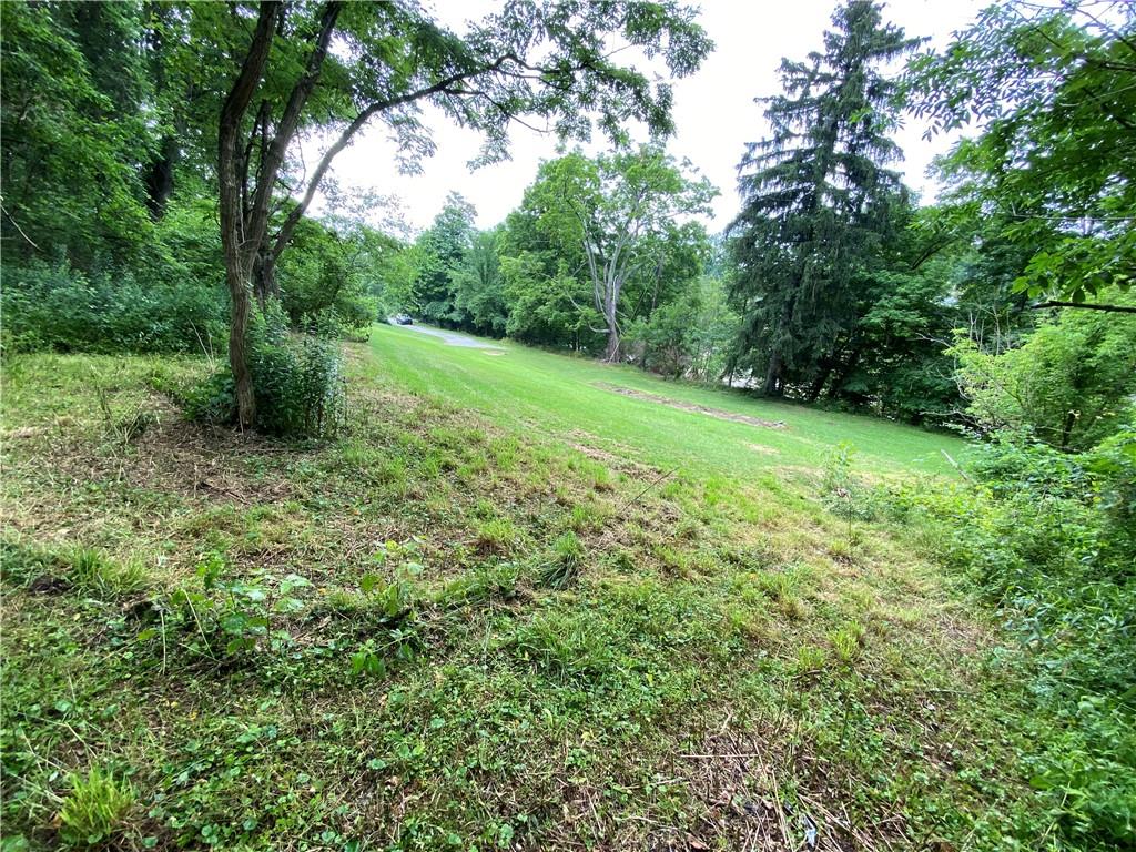 30 Momeyer Road Monongahela, PA 15063 - Photo 8 of 12 a big yard with lots of green space and trampoline