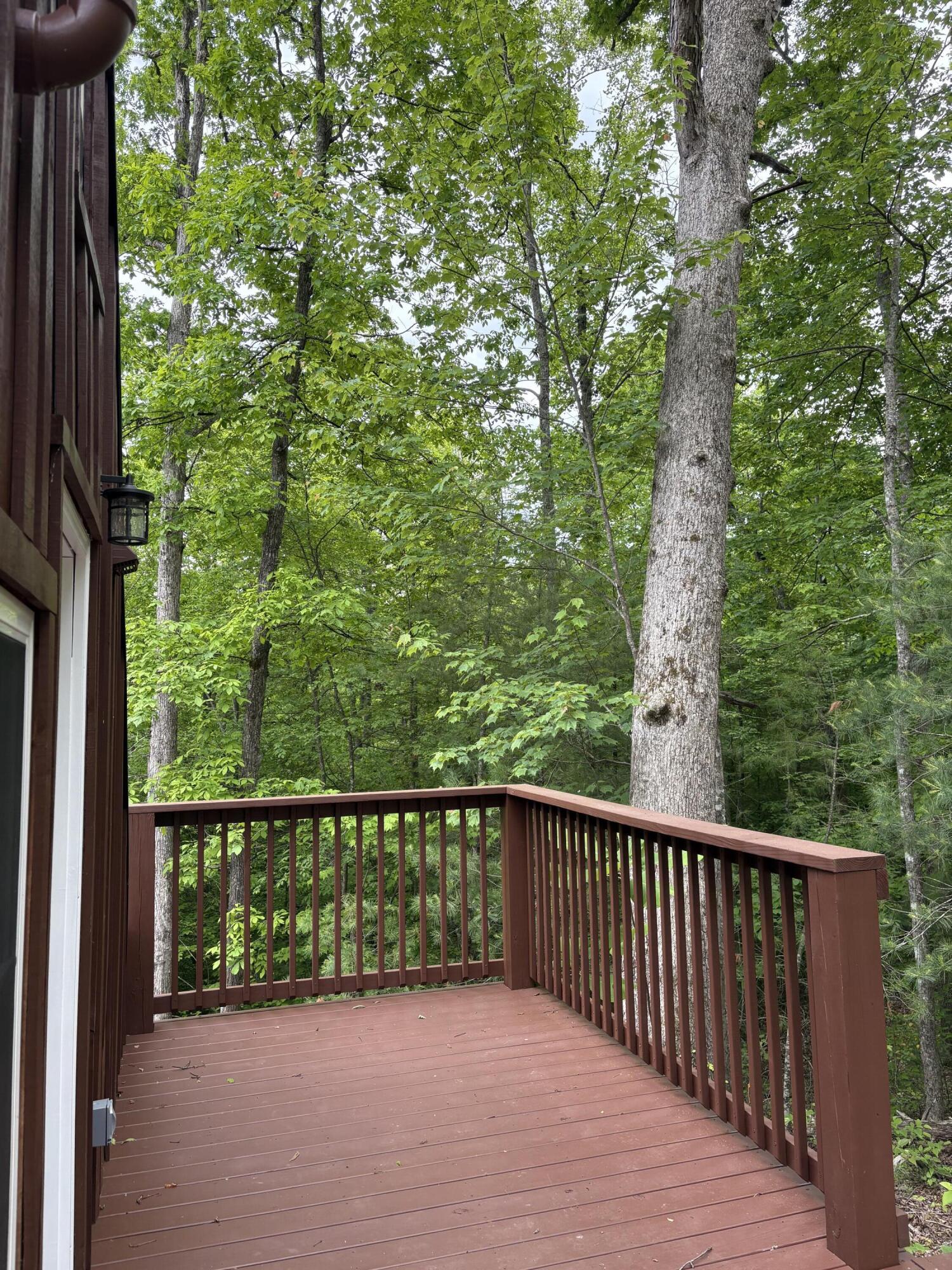 0 Fincastle Road Rogers, KY 41365 - Photo 26 of 33 IMG_2426