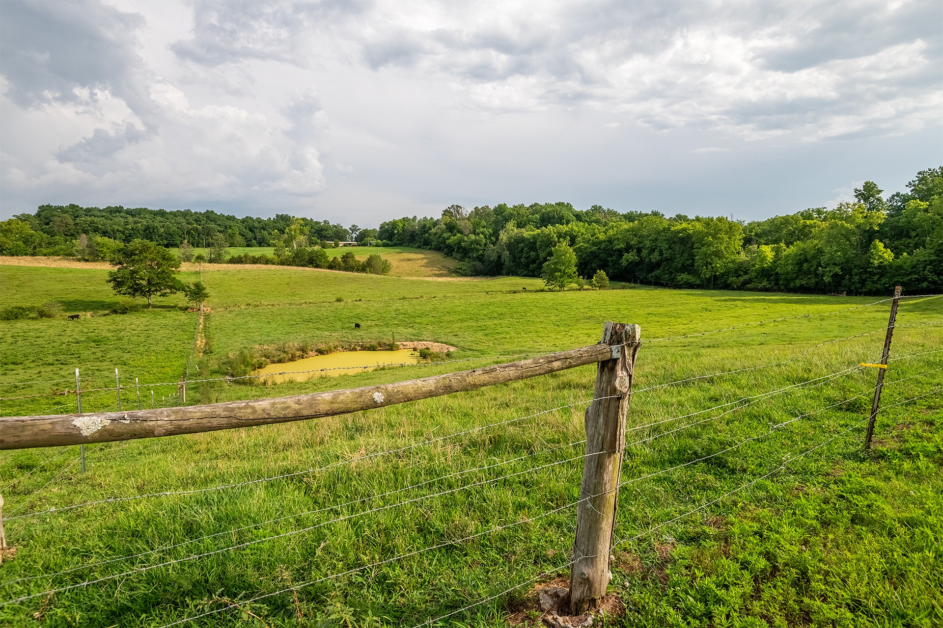 4635 Warrensburg Road Greeneville, TN 37743 - Photo 15 of 55