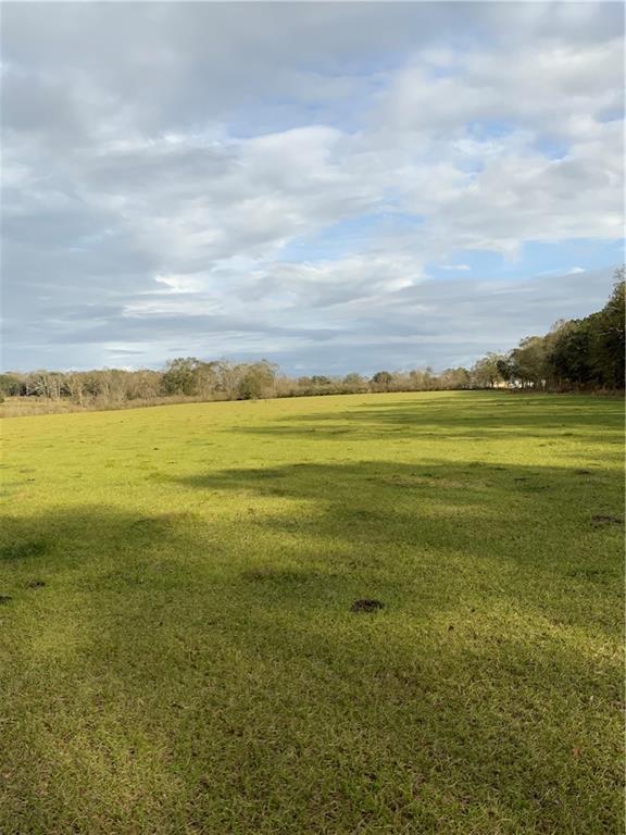 0 Dephillips Road Husser, LA 70442 - Photo 2 of 16 Gallery Image 2