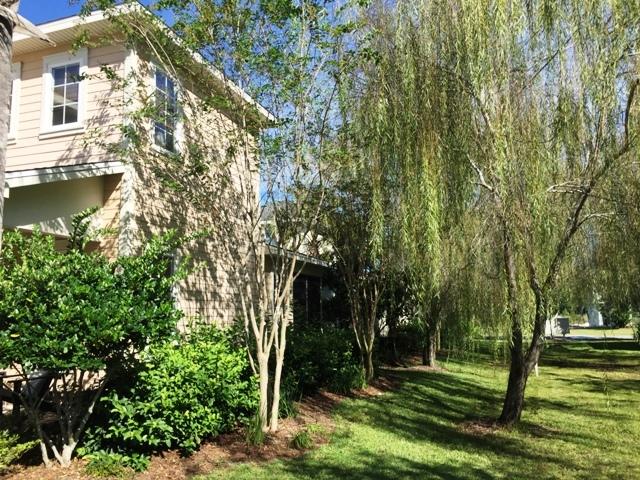 136 South Zander Way Santa Rosa Beach, FL 32459 - Photo 24 of 27 a backyard of a house with lots of green space