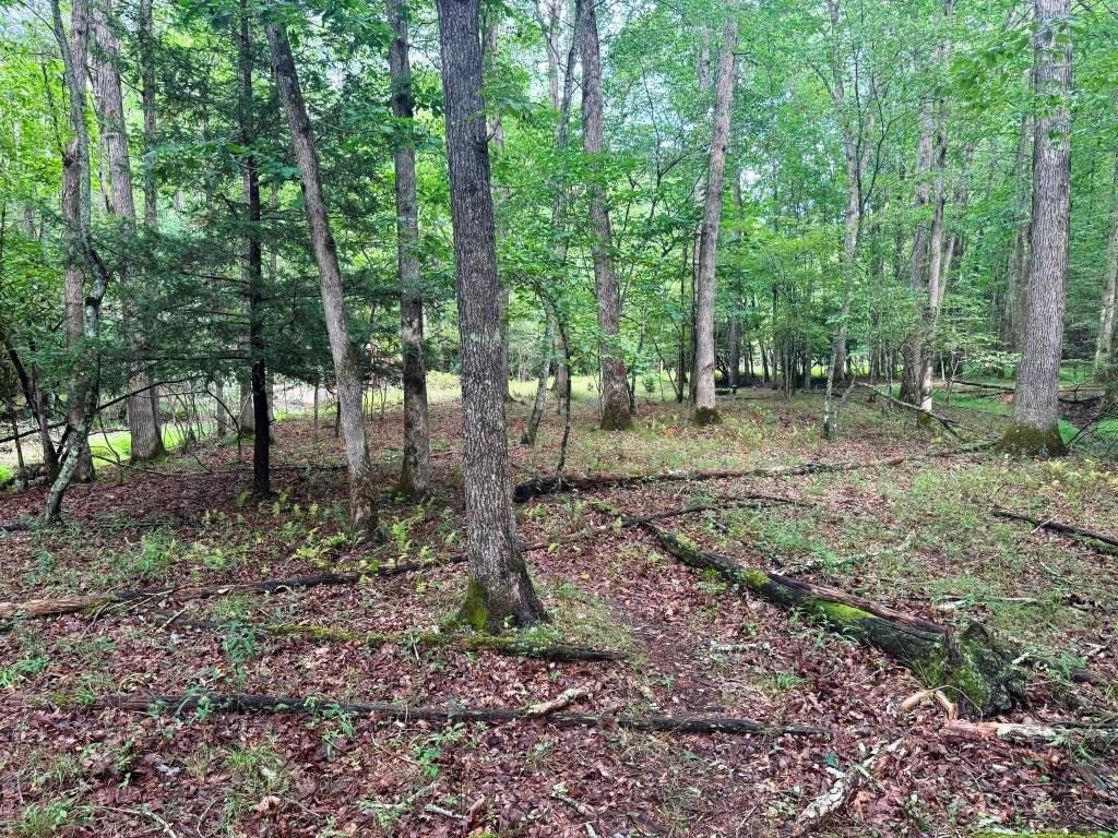2543 Crawfish Road, Unit 2A & 4A Rural Retreat, VA 24368 - Photo 19 of 34 Gallery Image 19