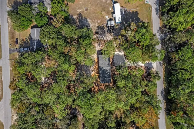an aerial view of residential houses with outdoor space and trees