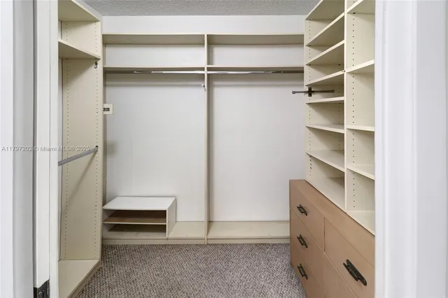 a view of walk in closet with empty racks