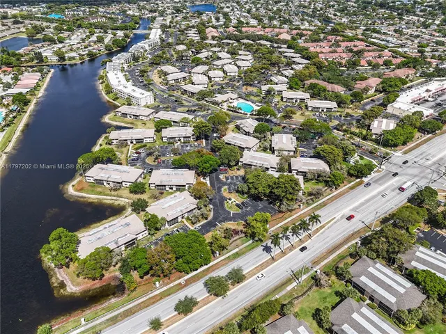 a view of a yard with plants