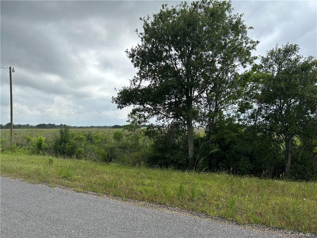 0 Main (l-1) Street Iowa, LA 70647 - Photo 2 of 3