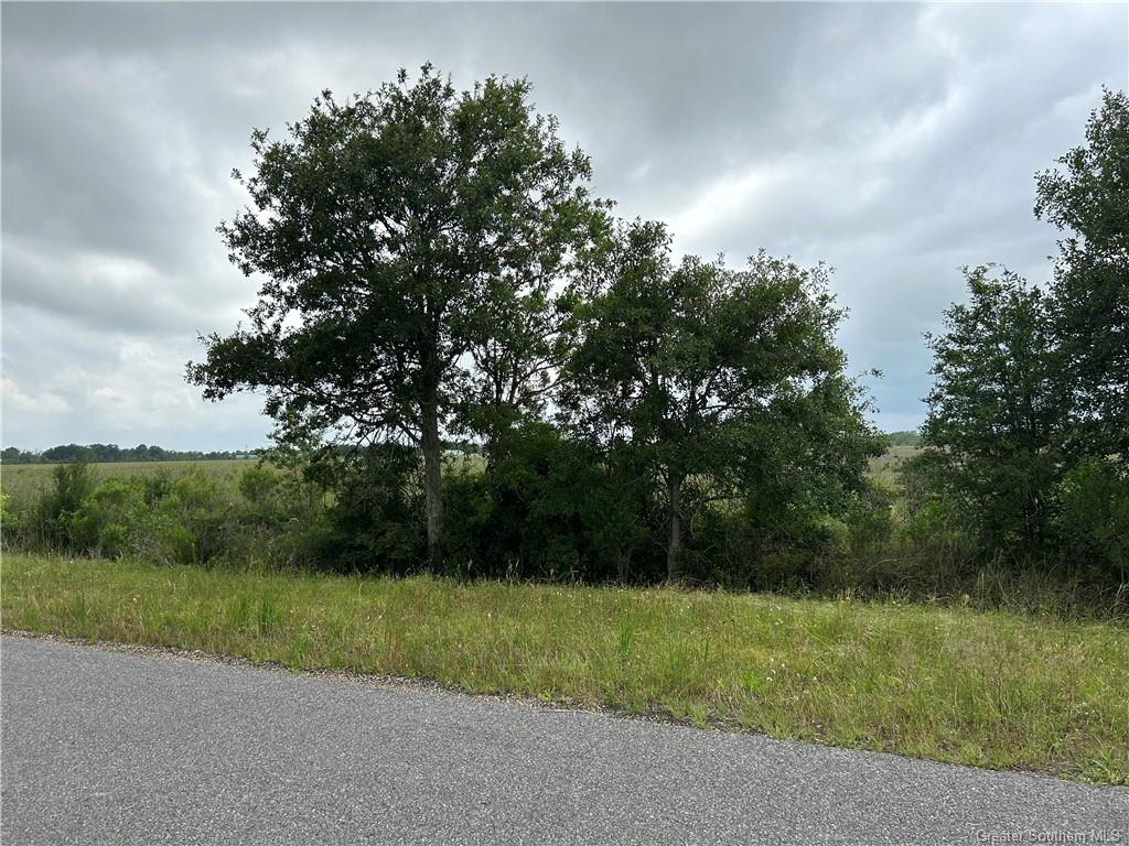 0 Main (l-1) Street Iowa, LA 70647 - Photo 3 of 3