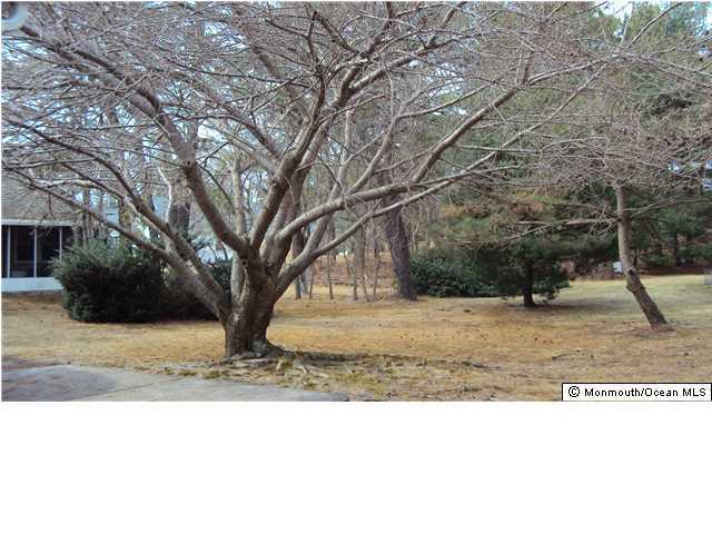 14 Ashley Road Whiting, NJ 08759 - Photo 4 of 17 Additional Photo