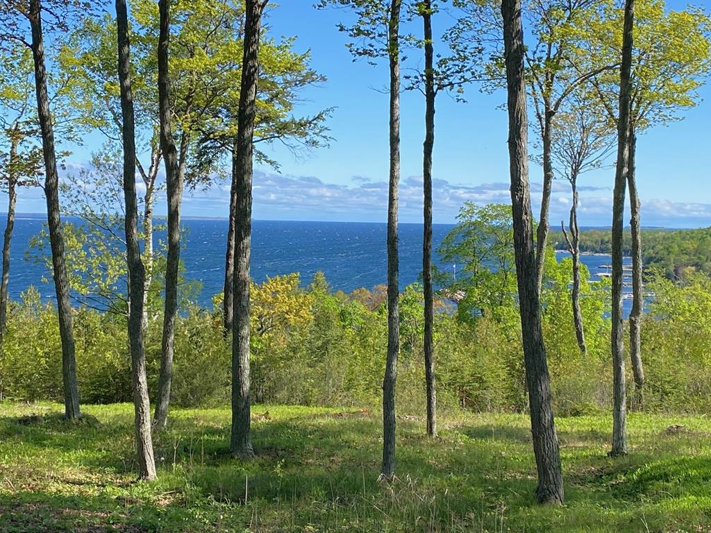 4756 Fox Point Road, Unit 411 Egg Harbor, WI 54209 - Photo 4 of 52 Gallery Image 4
