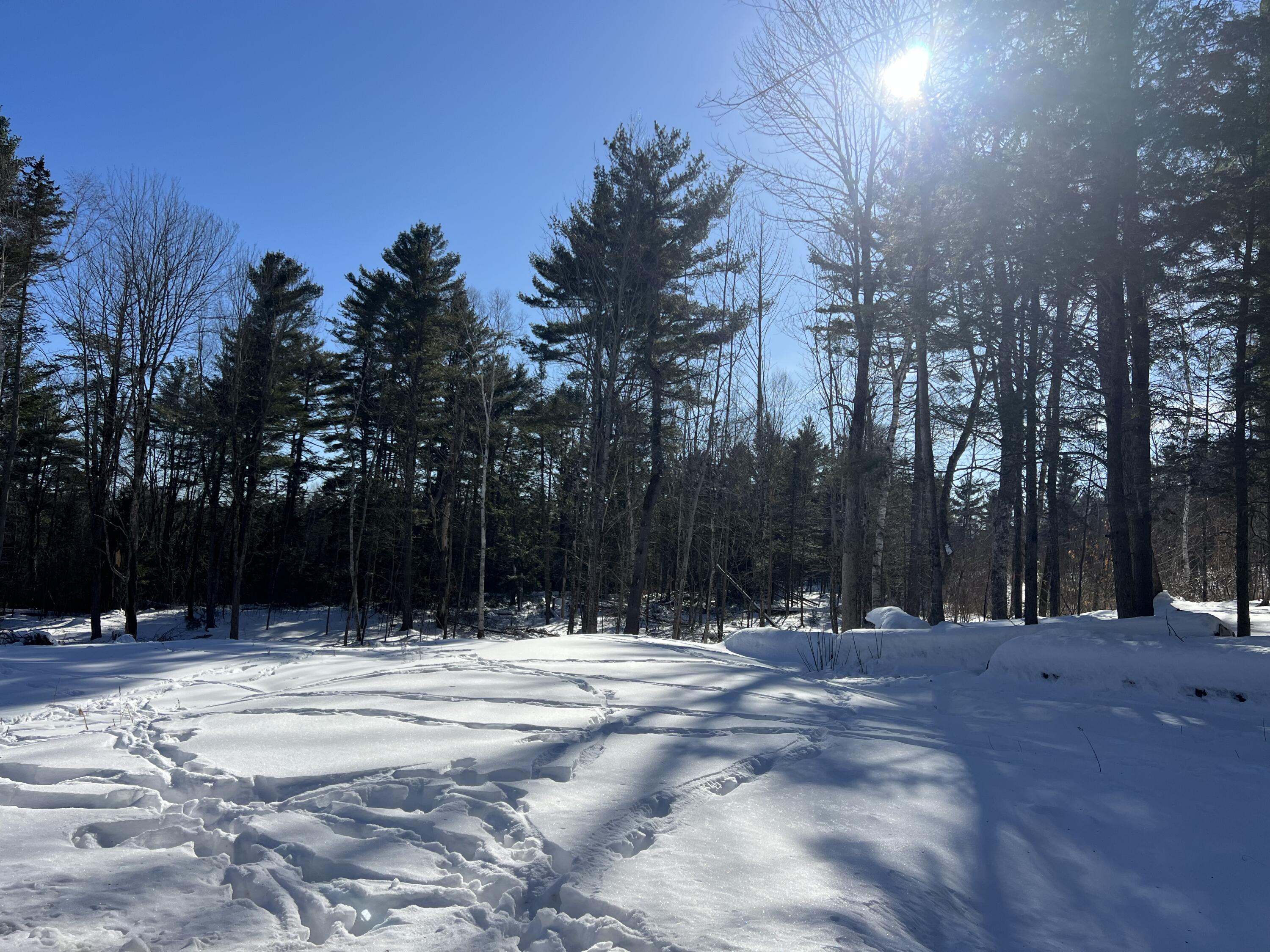 20 Skyscraper Hill Road Brooks, ME 04921 - Photo 21 of 35 IMG_7929