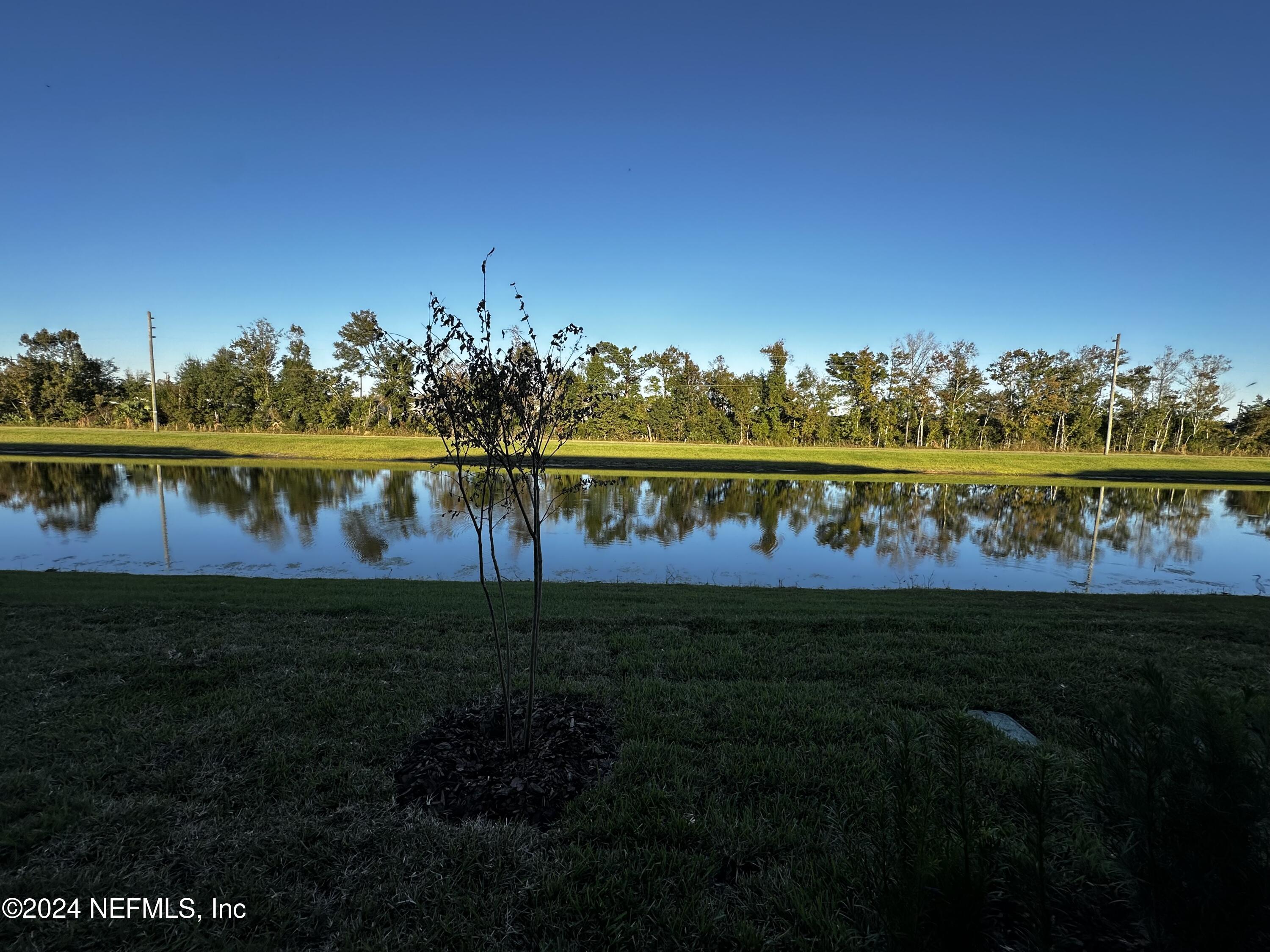 6873 Gable Grv Avenue Jacksonville, FL 32217 - Photo 31 of 31 IMG_5489