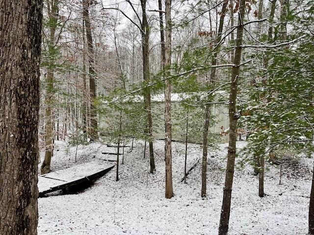 73350 Brooks Martin Road McArthur, OH 45651 - Photo 35 of 40 IMG_6225