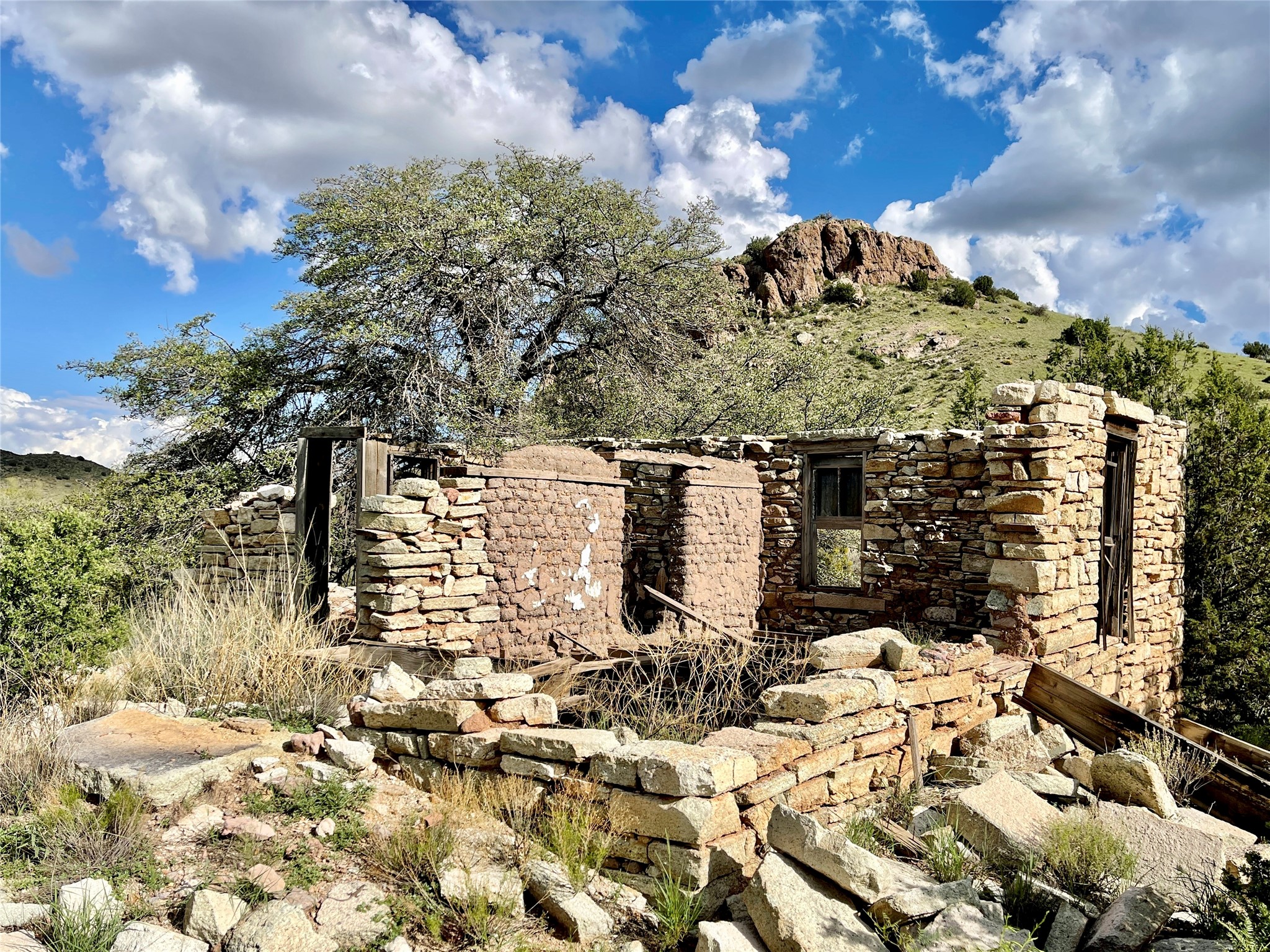 Pitchfork Pitchfork Ranch Silver City, NM 88061 - Photo 16 of 56