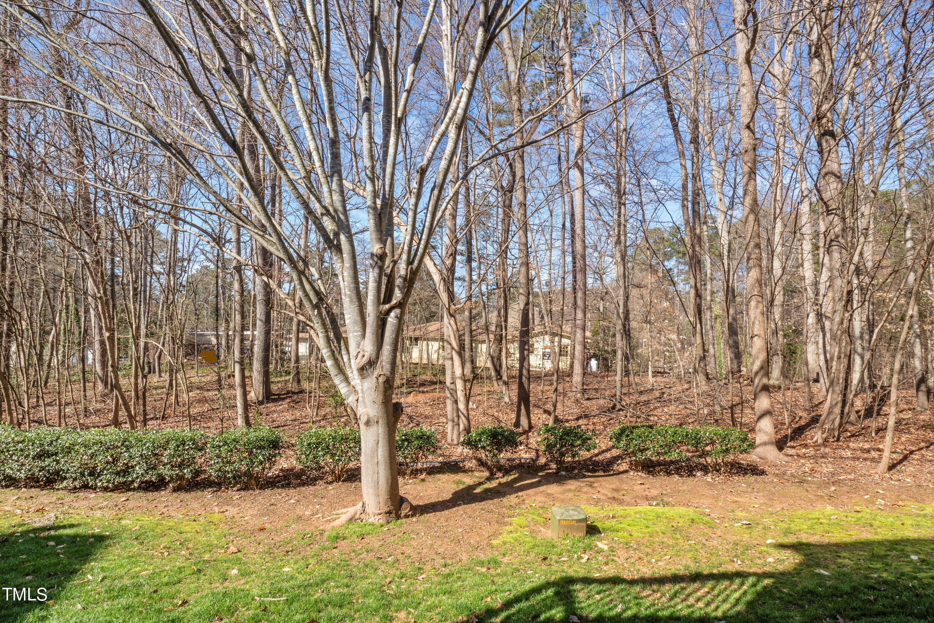 4721 Mifflin Street Raleigh, NC 27612 - Photo 40 of 45 20-4721 Mifflin St20240311_0008