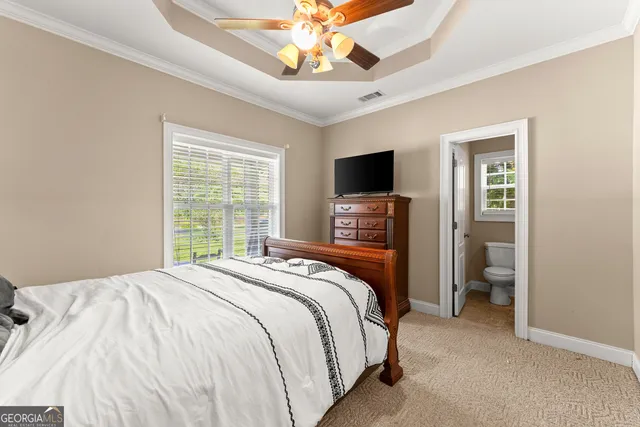 a view of a garden with a bench