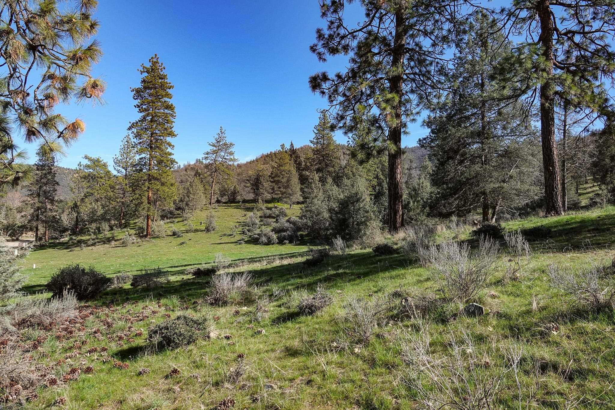 0 Scarface Road Fort Jones, CA 96032 - Photo 3 of 35 Gallery Image 3