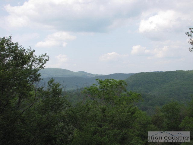 236 Moss Ridge Sugar Mountain, NC 28604 - Photo 2 of 13 Gallery Image 2