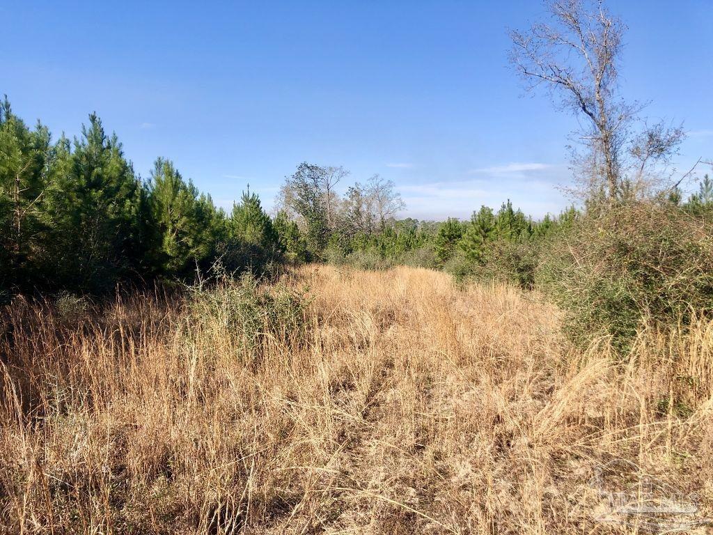 Lot 18-sw Bashi Road Pace, FL 32571 - Photo 24 of 36
