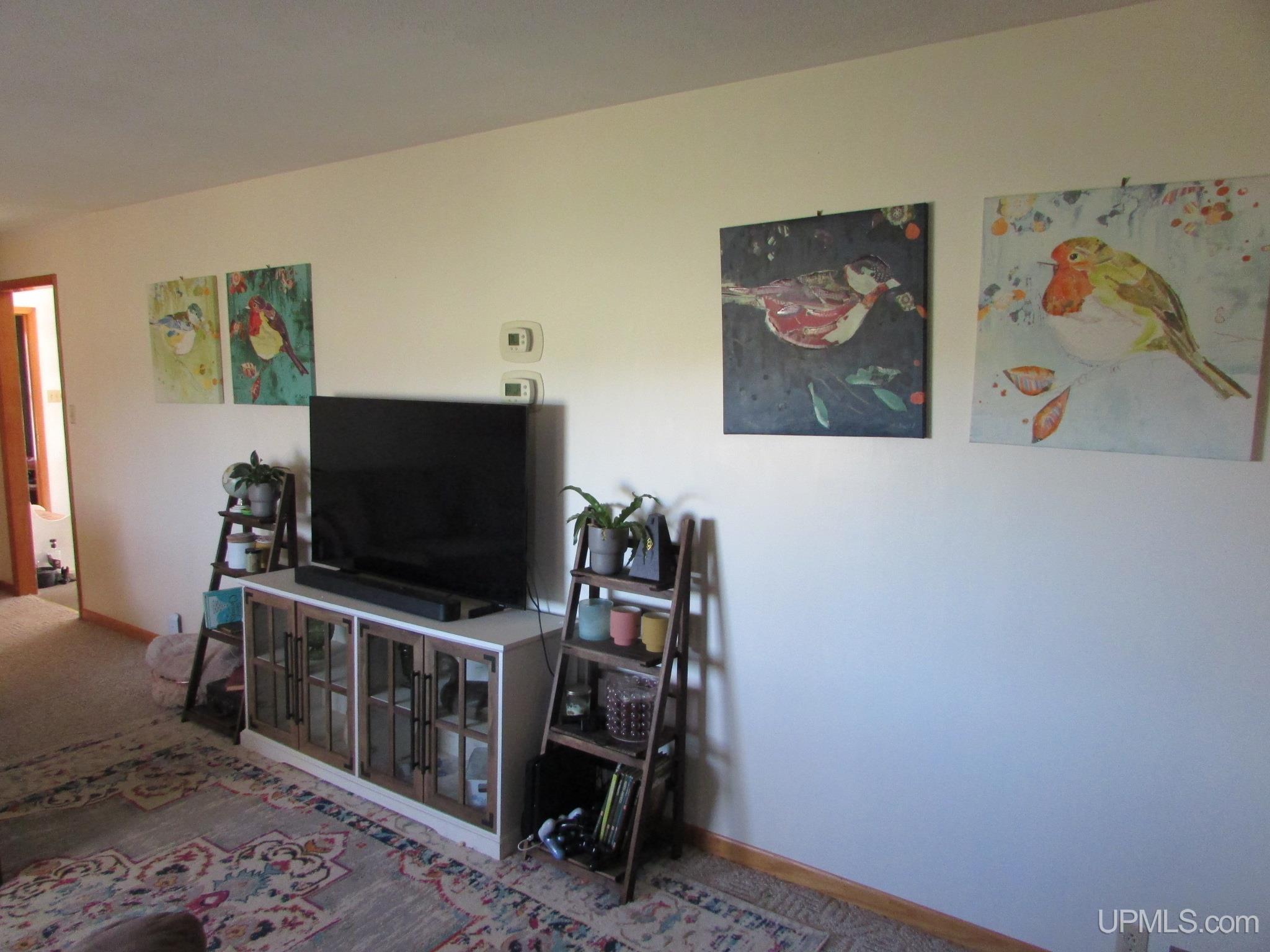 25485 East Opal Road Watton, MI 49970 - Photo 4 of 61