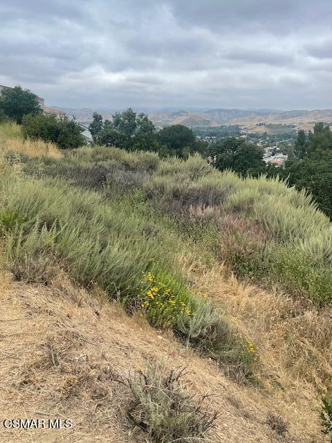 3 Unnamed Simi Valley Simi Valley, CA 93063 - Photo 14 of 15 a view of a field with trees in background