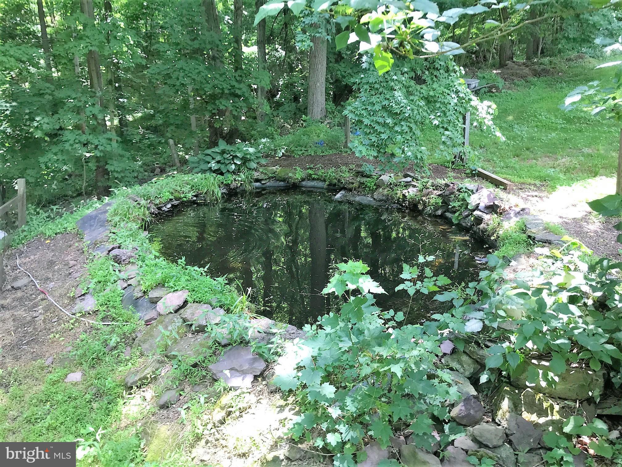 140 Himmelwright Road Barto, PA 19504 - Photo 40 of 41 KOI POND