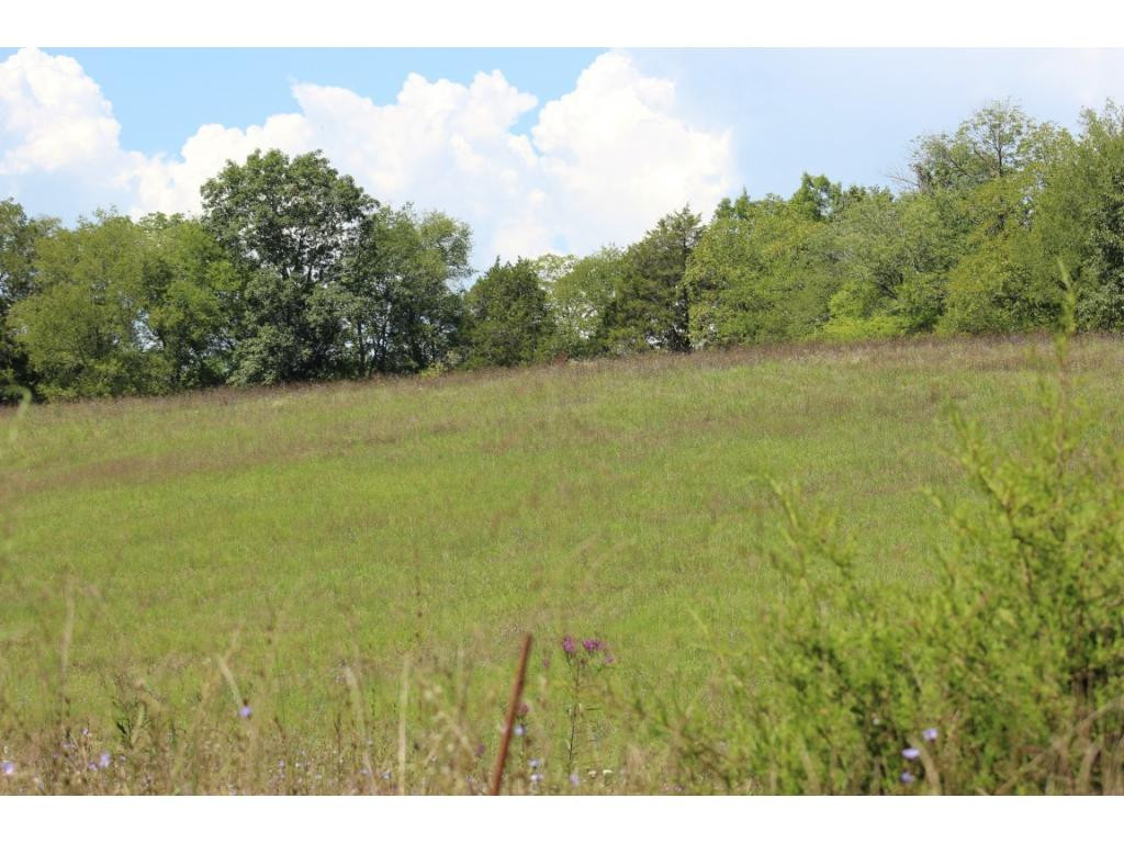 0 Paul Weems Road Greeneville, TN 37745 - Photo 1 of 12 Photo 1