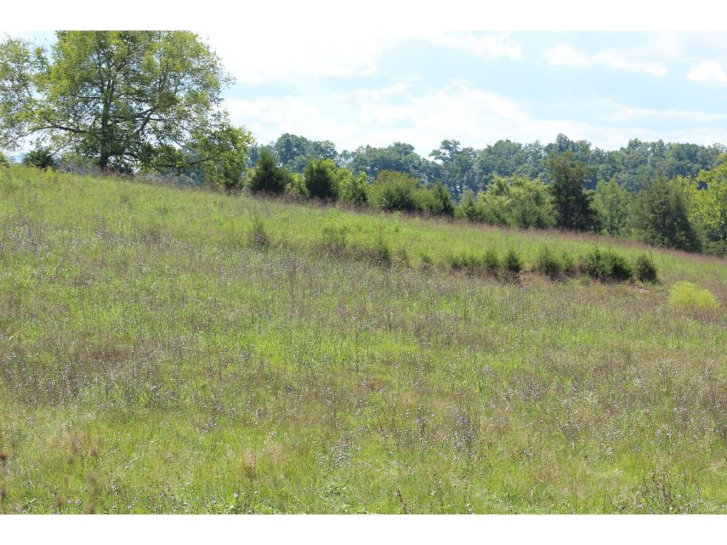 0 Paul Weems Road Greeneville, TN 37745 - Photo 11 of 12 Photo 11