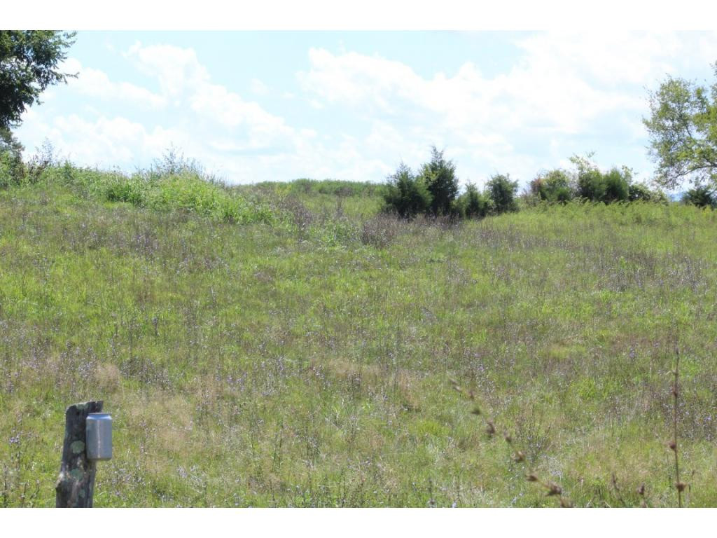 0 Paul Weems Road Greeneville, TN 37745 - Photo 12 of 12 Photo 12