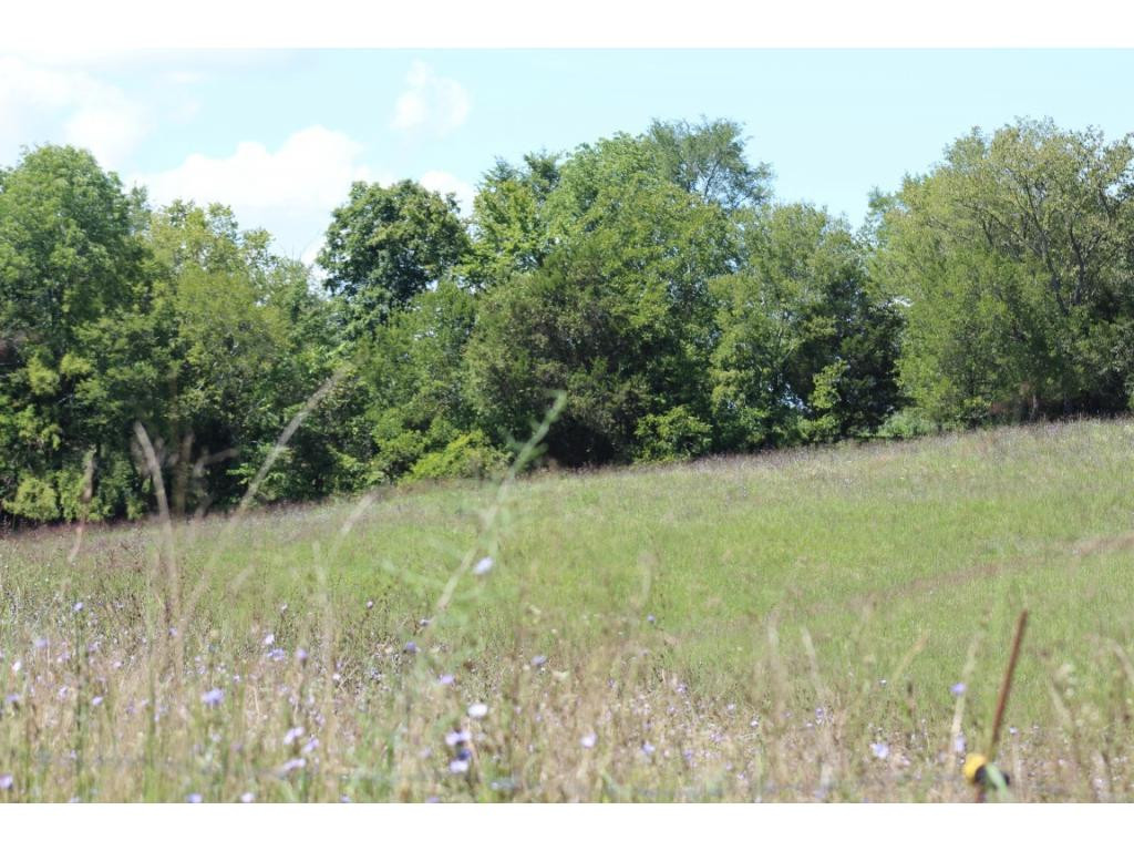 0 Paul Weems Road Greeneville, TN 37745 - Photo 3 of 12 Photo 3