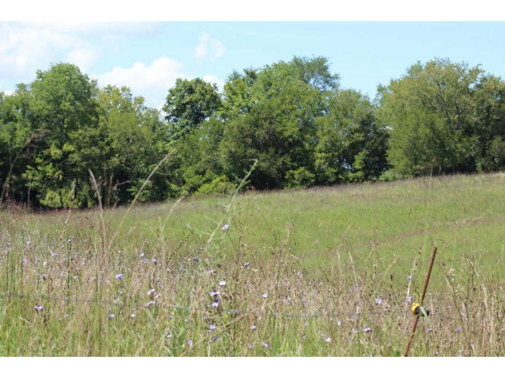 0 Paul Weems Road Greeneville, TN 37745 - Photo 4 of 12 Photo 4