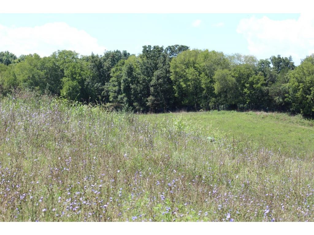 0 Paul Weems Road Greeneville, TN 37745 - Photo 5 of 12 Photo 5