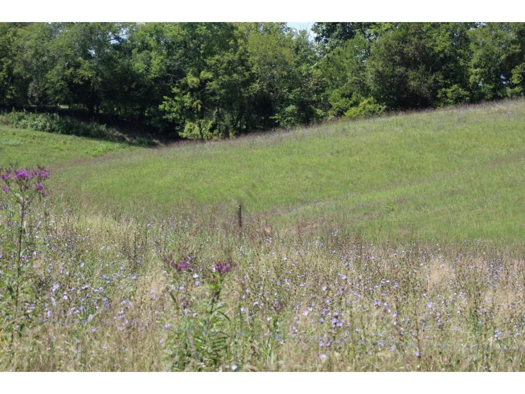 0 Paul Weems Road Greeneville, TN 37745 - Photo 6 of 12 Photo 6