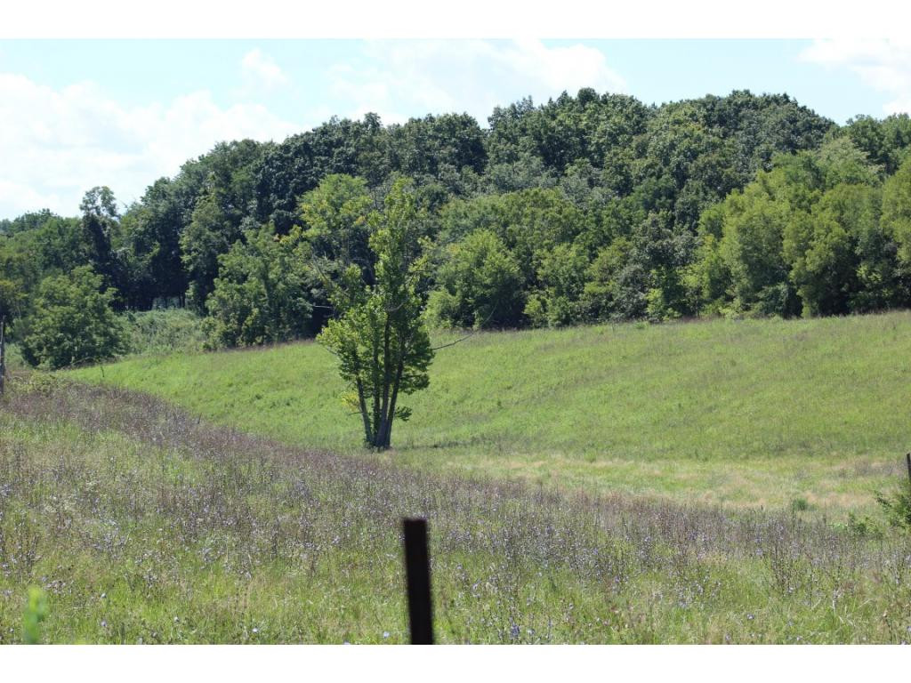 0 Paul Weems Road Greeneville, TN 37745 - Photo 7 of 12 Photo 7