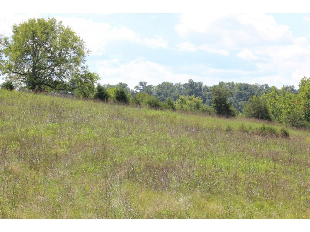 0 Paul Weems Road Greeneville, TN 37745 - Photo 8 of 12 Photo 8