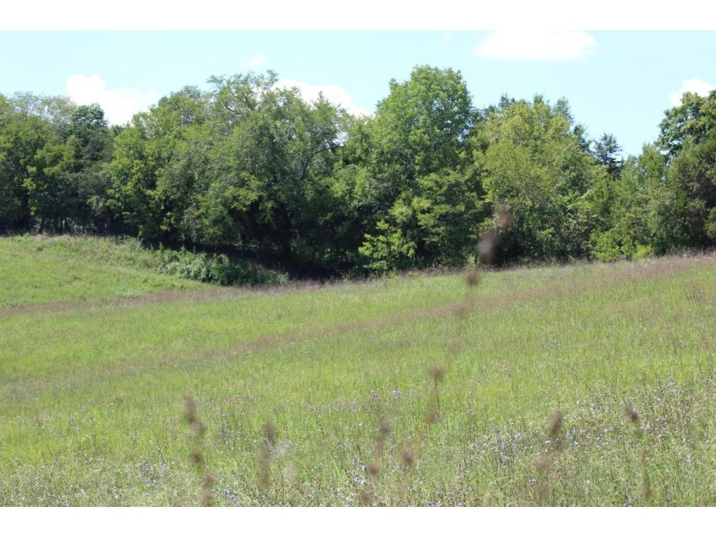 0 Paul Weems Road Greeneville, TN 37745 - Photo 9 of 12 Photo 9