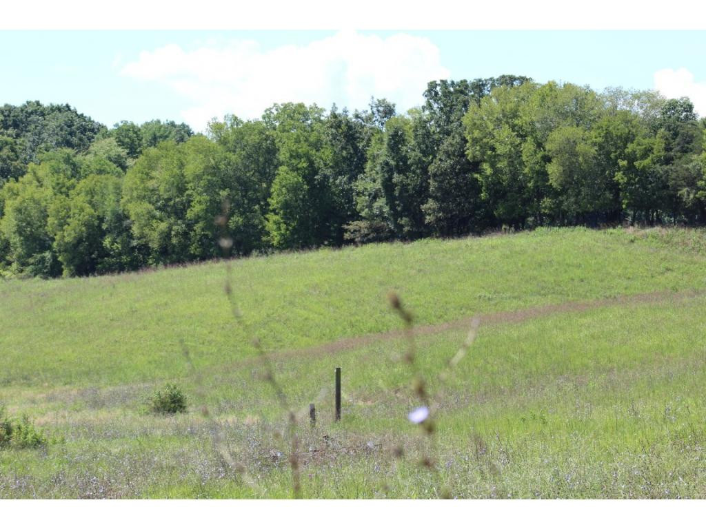 0 Paul Weems Road Greeneville, TN 37745 - Photo 10 of 12 Photo 10