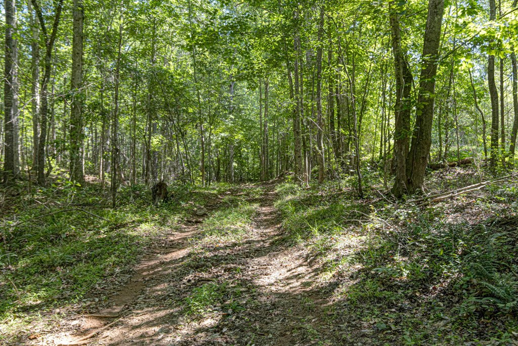 231 Lower Lovelace Road West Point, GA 31833 - Photo 38 of 49