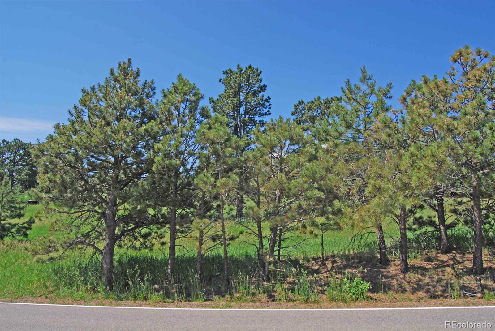 43 Paradise Road Golden, CO 80401 - Photo 2 of 11 Gallery Image 2